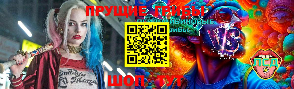 Псилоцибиновые грибы ЛСД Волжский