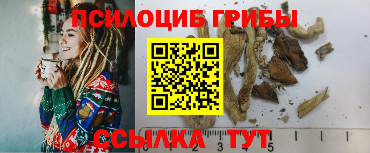 Галлюциногенные грибы Psilocybine cubensis  где продают   Вход с VPN  Волжский  Псилоцибиновые грибы мухоморы 